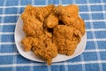 White Plate of Fried Chicken on Blue Plaid Towel Royalty Free Stock Photo