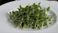 A white plate with a green salad
