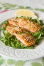 White plate with grilled salmon served with mini spinach and a piece of lemon. Royalty Free Stock Photo
