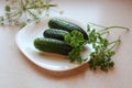 White plate on the kitchen table with fresh cucumbers , parsley and dill branches , side view - the concept of processing