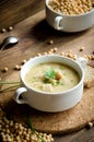 White plate pea soup Royalty Free Stock Photo
