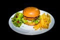 A white plate setup showing a delicious ready to eat juicy burger with a patty, lettuce & mayonnaise