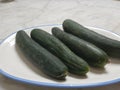 A dish with four cucumbers