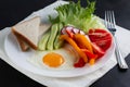 On a white plate there is an egg, slices of pepper, tomatoes, cucumbers, radishes and a leaf of green salad with a fork on the Royalty Free Stock Photo