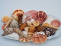 White platter full of seashells piled up on a white background up close