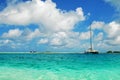 White pleasure boats anchored near coast