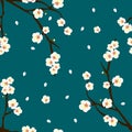 White Plum Blossom Flower on Indigo Blue Background. Vector Illustration