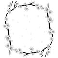 White Plum Blossom Flower Outline Border. Vector Illustration.