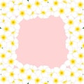 White Plumeria Border, Frangipani isolated on Pink Background. Vector Illustration.