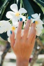 White plumeria Flower on hand With a turquoise bracelet .