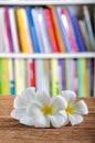 White plumeria flowers on desk