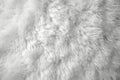 White Plush Fabric Texture Background. Generative AI Royalty Free Stock Photo