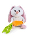 White plush rabbit with carrot