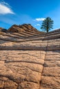 White Pocket, Arizona, USA