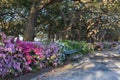 White Point Garden Charleston South Carolina Royalty Free Stock Photo