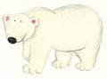 White Polar bear Royalty Free Stock Photo