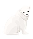 White Polar Bear. Arctic animal, cartoon flat design. Vector illustration isolated on white background Royalty Free Stock Photo