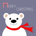 White polar bear in red scarf. Candy cane. Merry Christmas Greeting Card. Violet background. Flat design Royalty Free Stock Photo