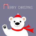 White polar bear in santa claus hat and scarf, paw. Candy cane. Merry Christmas Greeting Card. Violet background. Flat design Royalty Free Stock Photo