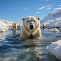 White polar bear among snow and ice. A family of northern bears, they are also called oshkuy, nanuk or umka Royalty Free Stock Photo