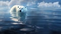 Swimming Polar Bear in Arctic Waters