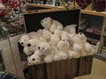 White polar bears plushes on display for sale Royalty Free Stock Photo