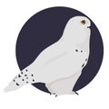 White polar owl vector illustration. Snowy owl on blue background Royalty Free Stock Photo