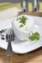 White Polish cheese Royalty Free Stock Photo
