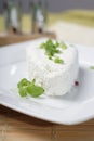 White Polish cheese Royalty Free Stock Photo