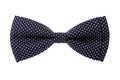 White polka dot bow tie colors stylish isolated