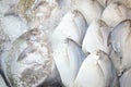 White Pomfret Fish in street maket