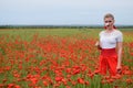 White poppy flower in the hands of a girl in the middle of a field of red poppies Royalty Free Stock Photo