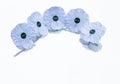 White poppy remembrance  day Royalty Free Stock Photo