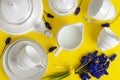 White porcelain coffe or tea set with muscari flowers on yellow Royalty Free Stock Photo