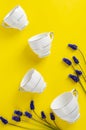 White porcelain coffe or tea set with muscari flowers on yellow Royalty Free Stock Photo