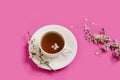 White porcelain cup with black tea. Branches of a blossoming apple tree lie on a bright pink background. Spring concept Royalty Free Stock Photo