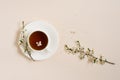 White porcelain cup with black tea and marshmallows. Branches of a blossoming apple tree lie on a beige background. Spring concept Royalty Free Stock Photo