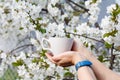 White porcelain cup in female hands with flowering cherry tree on the background