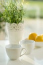 White porcelain cups Royalty Free Stock Photo