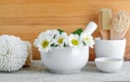 White porcelain mortar with flowers of chamomile. Herbal medicine, natural homemade cosmetics and spa concept.