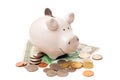 The white porcelain pig with coins and banknotes Royalty Free Stock Photo