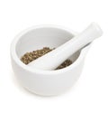 White porcelain set mortar and pestle with coriander grains. Isolated on white Royalty Free Stock Photo