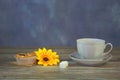 A white porcelain tea cup on a saucer and two cupcakes on a napkin, a yellow flower bud and two sugar cubes Royalty Free Stock Photo
