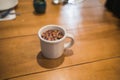 White porcelain teacup with rose petals and red berries Royalty Free Stock Photo