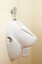 White porcelain urinal in public toilets