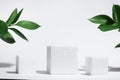White porous cube, square podium with leaves and shadows on a white gray background. Conceptual scene, showcase for a new product