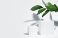 White porous cube, square podium with leaves and shadows on a white gray background. Conceptual scene, showcase for a new product