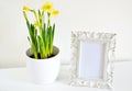 White pot with daffodils and photo frame vintage style white