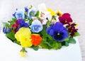 White Pot with Viola Pansy Flowers Royalty Free Stock Photo