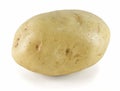 White Potato